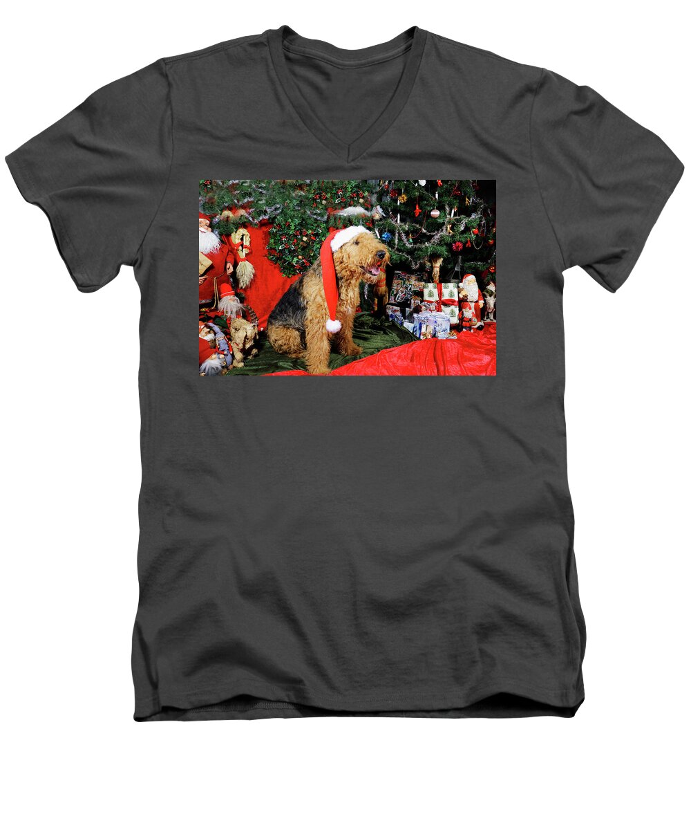 Airedale-terrier Men's V-Neck T-Shirt featuring the photograph Airedale terrier dressed as santa-claus by Christian Lagereek