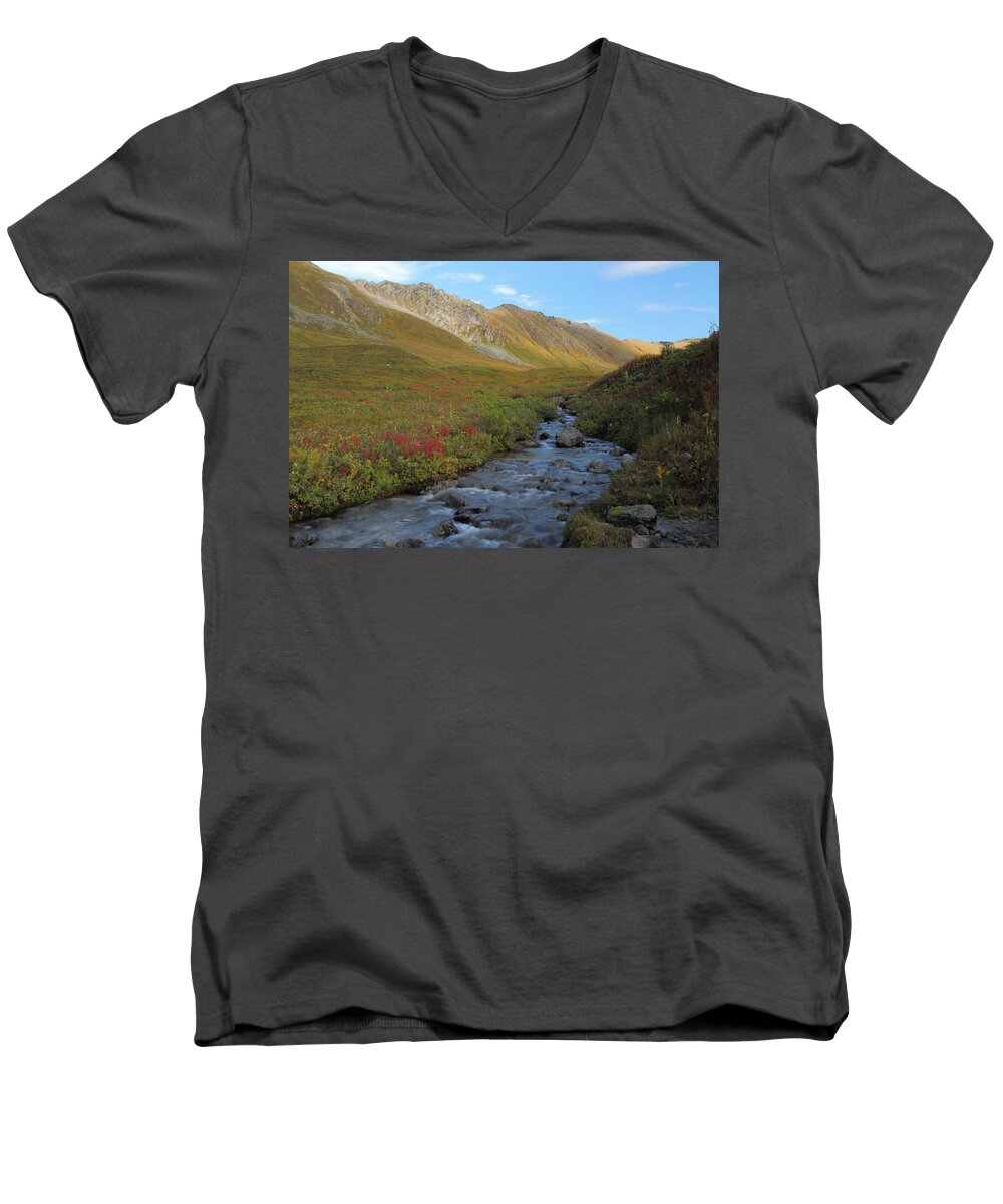 Alaska Men's V-Neck T-Shirt featuring the photograph Alaska Fireweed and Willow Creek Along Hatcher Pass Road by Steve Wolfe
