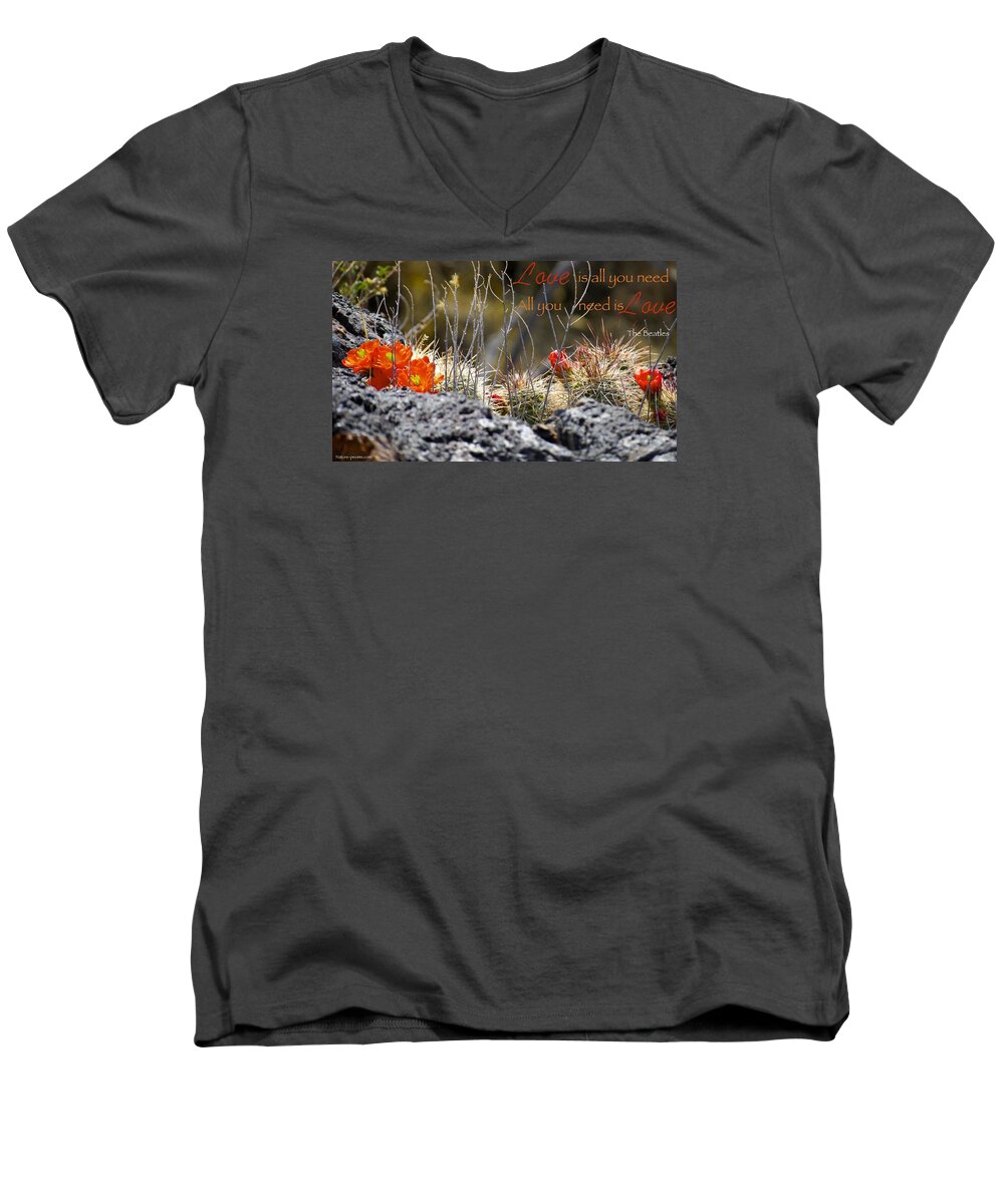  Men's V-Neck T-Shirt featuring the photograph All We Need by David Norman