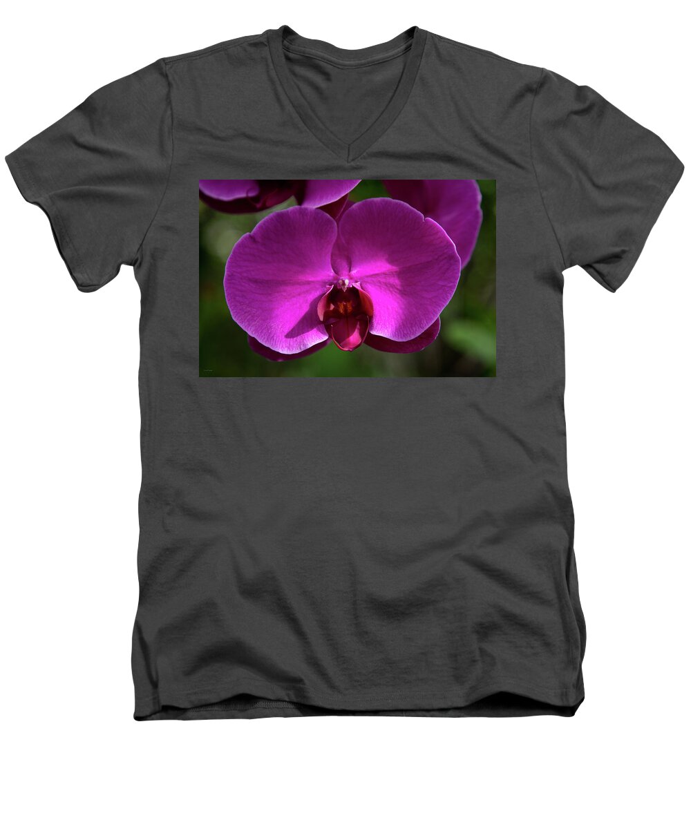 Allan Men's V-Neck T-Shirt featuring the photograph Allan Gardens Orchid by Ross Henton