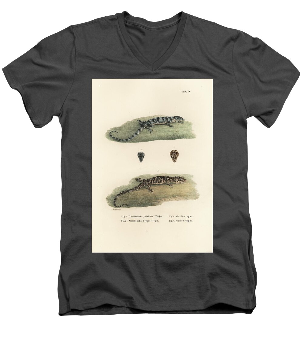 Deppes Arboreal Alligator Lizard Men's V-Neck T-Shirt featuring the drawing Alligator Lizards by Friedrich August Schmidt