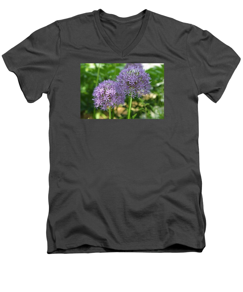 Purple Men's V-Neck T-Shirt featuring the photograph Allium by Dart Humeston