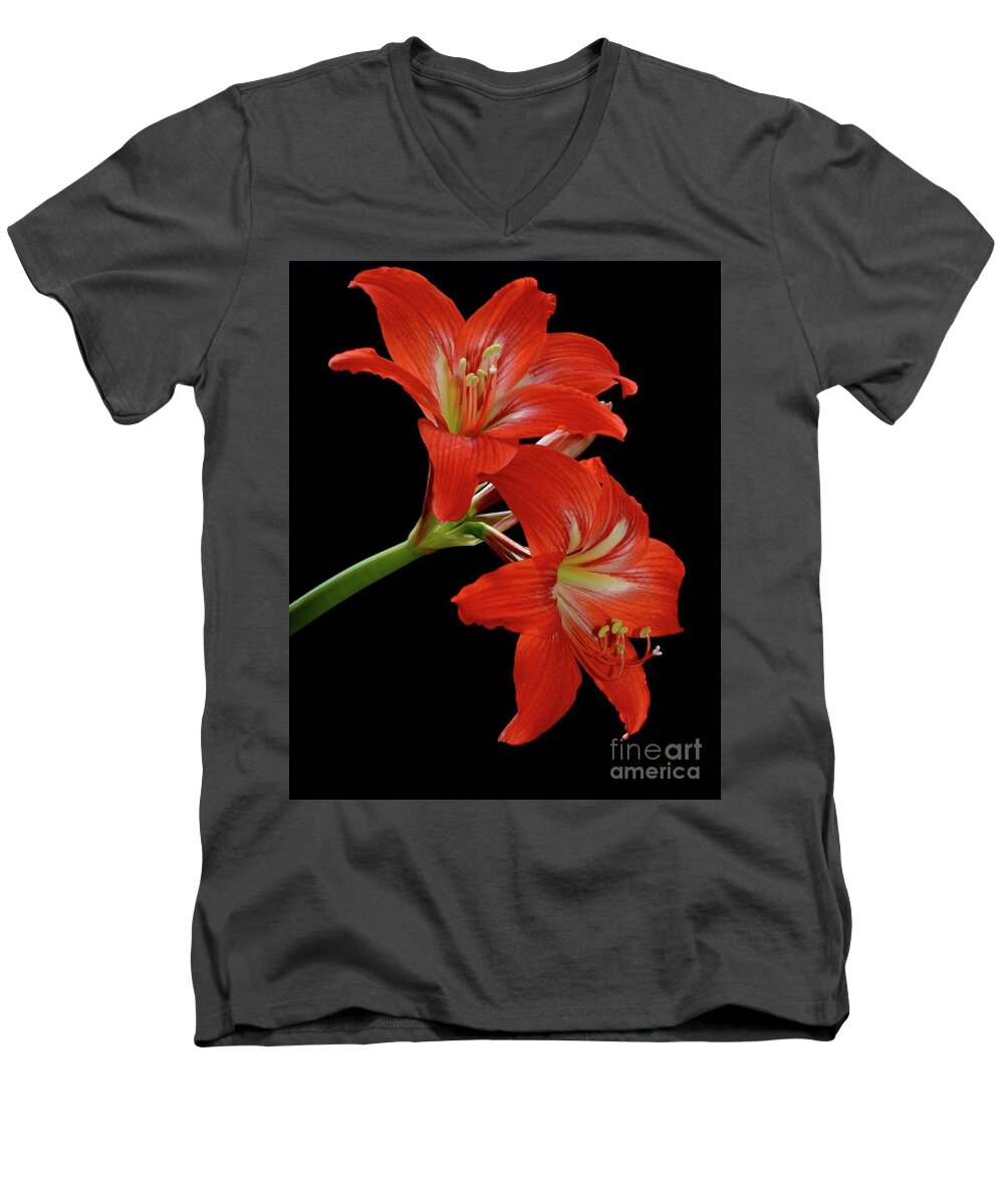 Gift Men's V-Neck T-Shirt featuring the photograph Amaryllis by AnnaJo Vahle