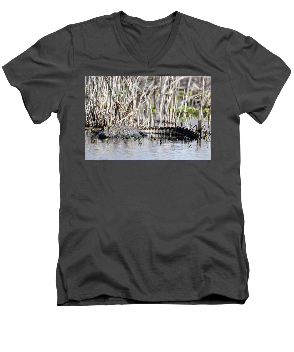 Nature Men's V-Neck T-Shirt featuring the photograph American Alligator by Gary Wightman