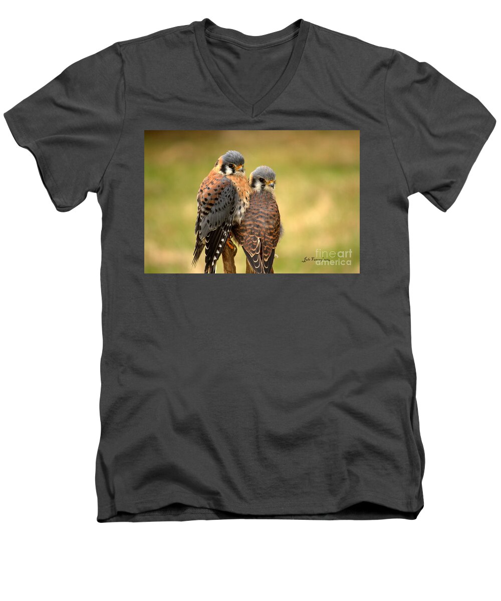 Photography Men's V-Neck T-Shirt featuring the photograph American Kestrel Siblings by Jale Fancey