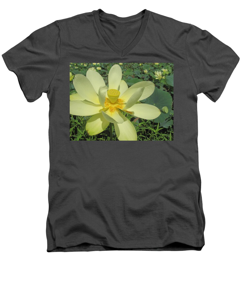 Yellow Men's V-Neck T-Shirt featuring the photograph American Lotus by David Bader