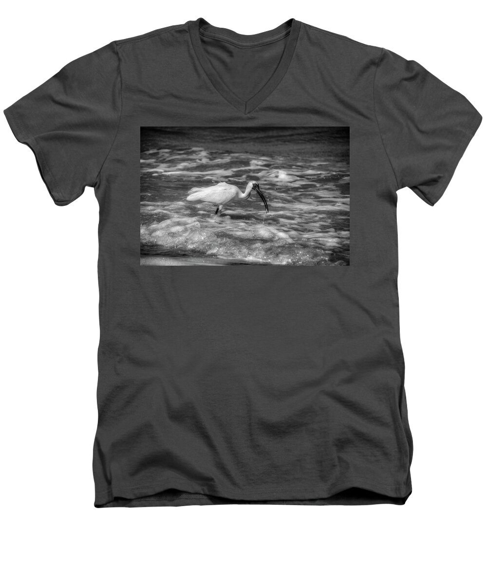 American White Ibis Men's V-Neck T-Shirt featuring the photograph American White Ibis in Black and White by Greg and Chrystal Mimbs