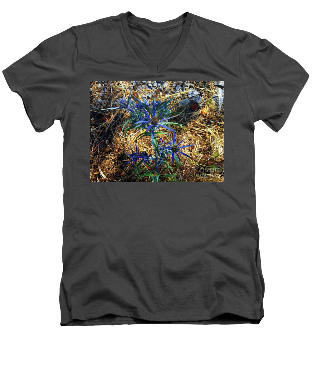 Sea Holly Men's V-Neck T-Shirt featuring the photograph Amethyst Sea Holly by Jasna Dragun