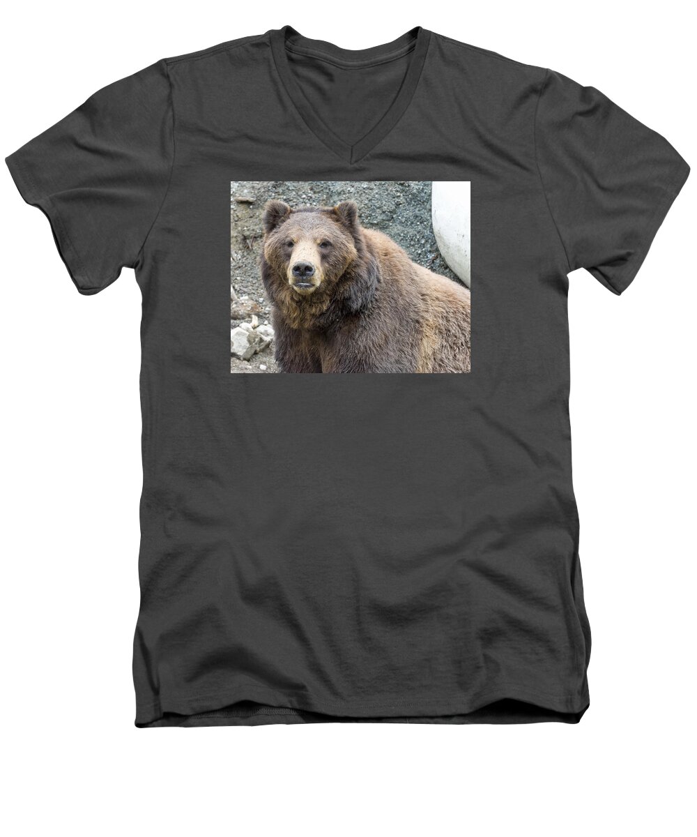 Wildlife. Brown Men's V-Neck T-Shirt featuring the photograph An Eye on You by Harold Piskiel