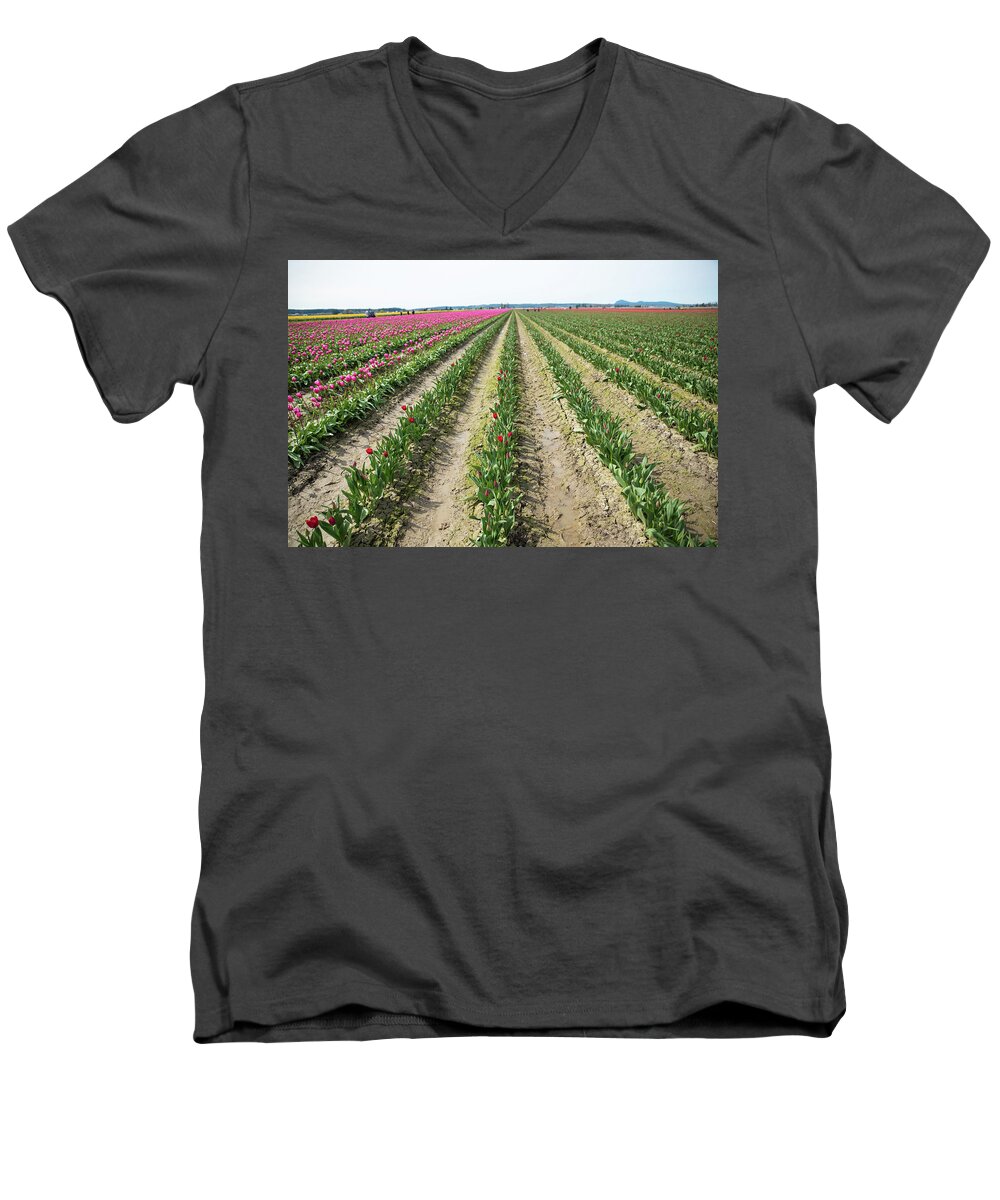 Tulips Men's V-Neck T-Shirt featuring the photograph Another Week Or Two by Tom Cochran