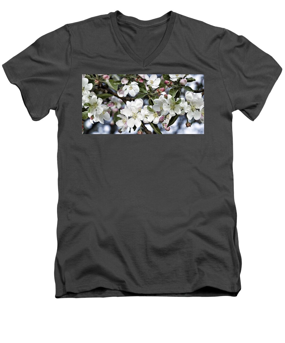 Flowers Men's V-Neck T-Shirt featuring the photograph Apple Blossoms by JGracey Stinson