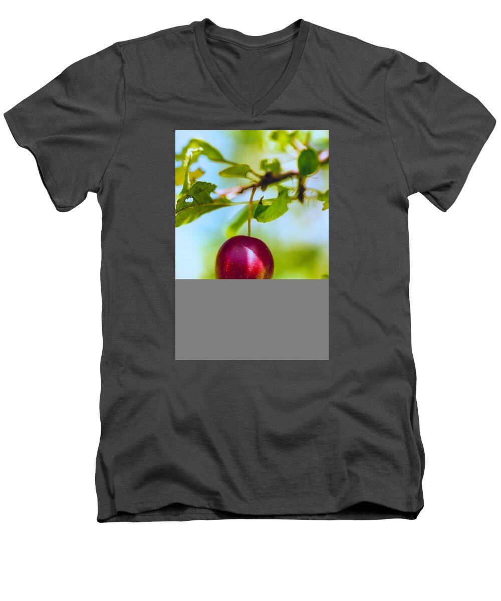 Red Men's V-Neck T-Shirt featuring the photograph Crab Apple by Constantine Gregory