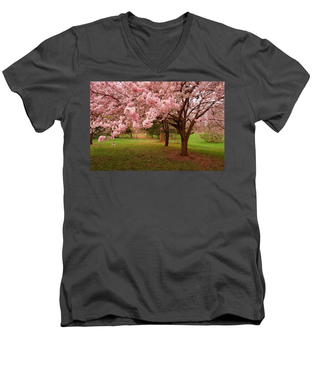 Cherry Blossoms Men's V-Neck T-Shirt featuring the photograph Approach Me - Holmdel Park by Angie Tirado