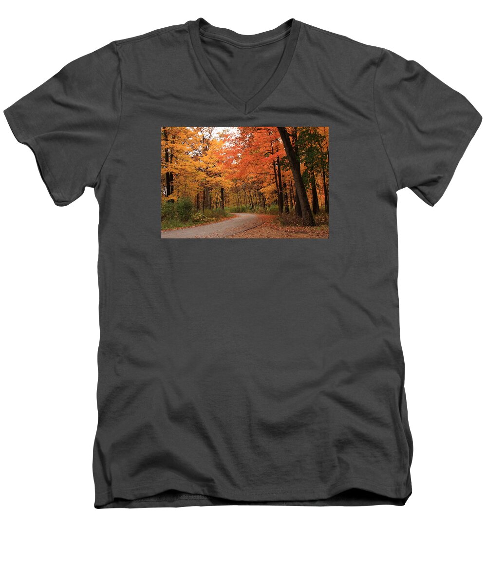 Trees Men's V-Neck T-Shirt featuring the photograph Around Every Curve by Lyle Hatch