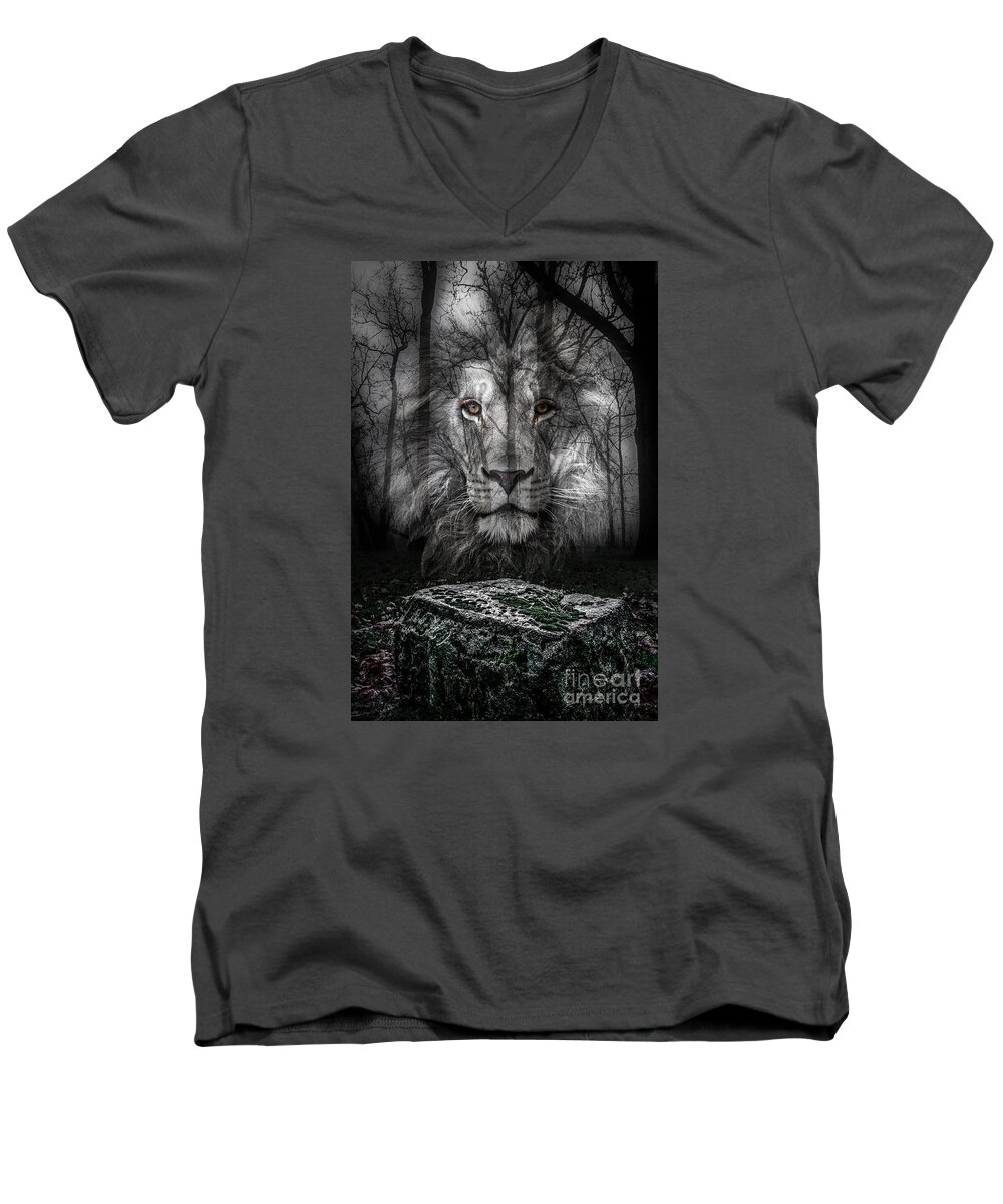 Aslan Men's V-Neck T-Shirt featuring the photograph Aslan And The Stone Table by Michael Arend