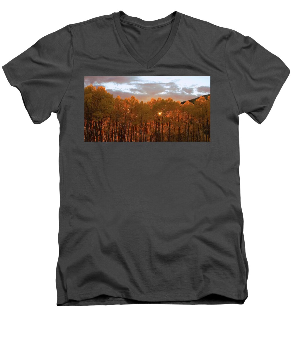 Colorado Men's V-Neck T-Shirt featuring the photograph Aspen Curtain by Steve Stuller
