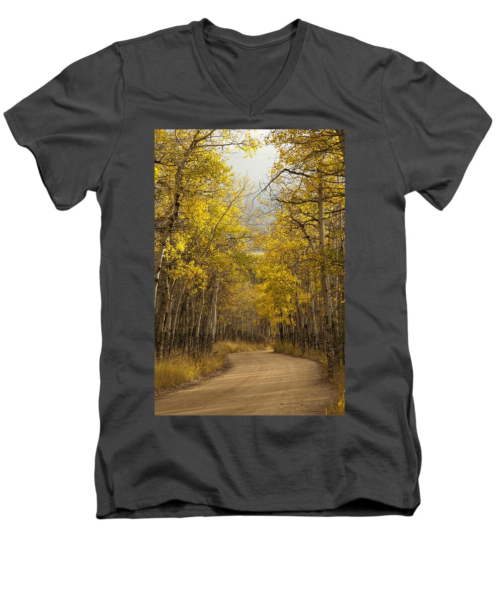 Landscape Men's V-Neck T-Shirt featuring the photograph Aspen Road by Jeff Shumaker