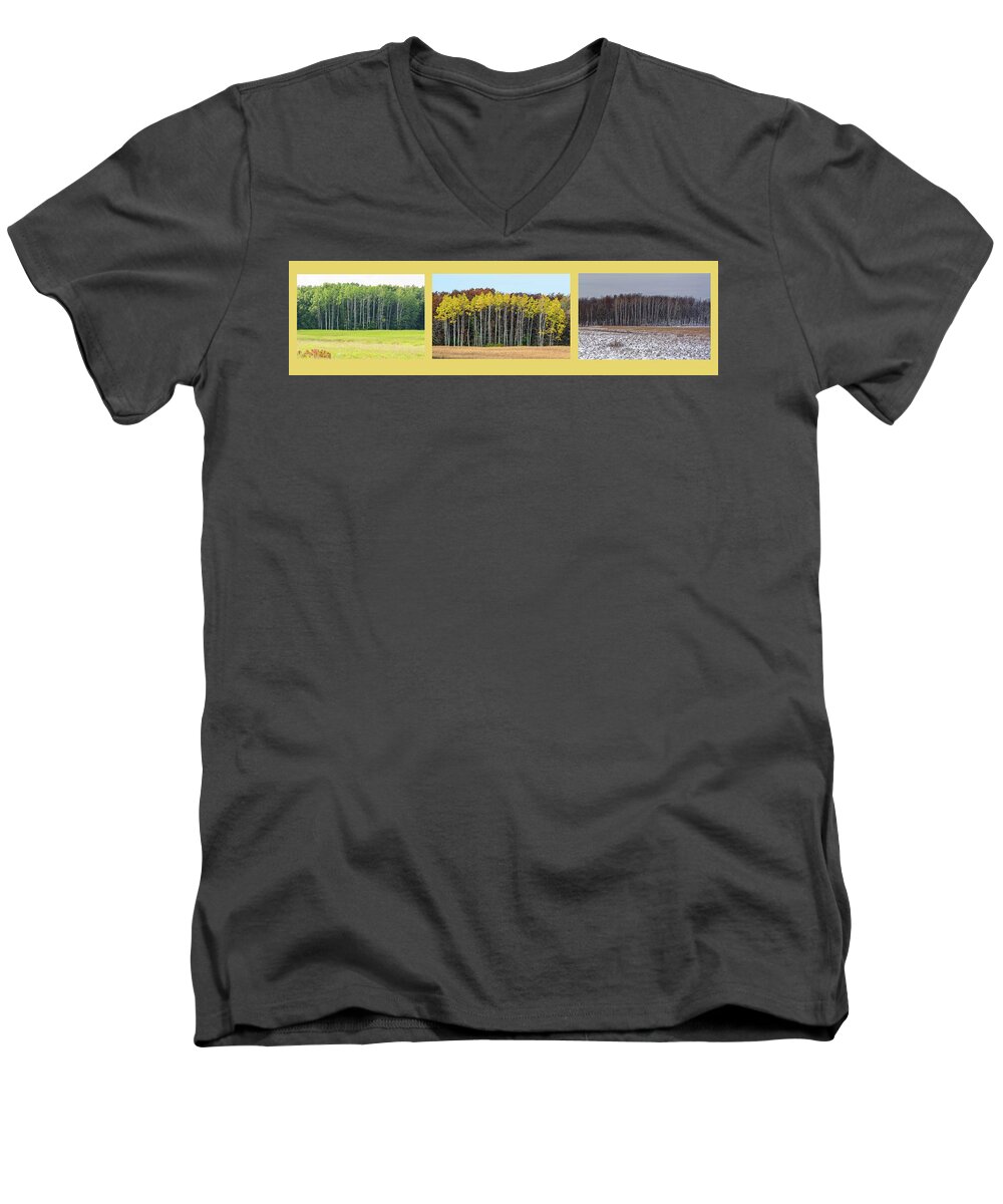 Trees Men's V-Neck T-Shirt featuring the photograph Aspen Triptych by Peter Ponzio
