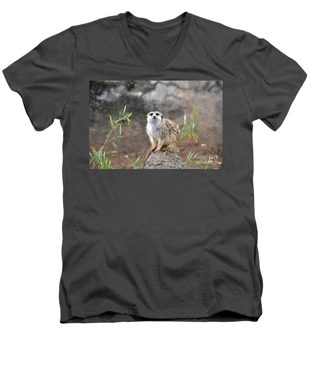 Meerkat Men's V-Neck T-Shirt featuring the photograph At The Watch by John Black