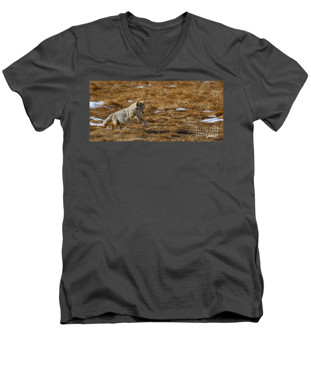 Coyote. Rocky Mountain National Park Men's V-Neck T-Shirt featuring the photograph Attack by Bon and Jim Fillpot