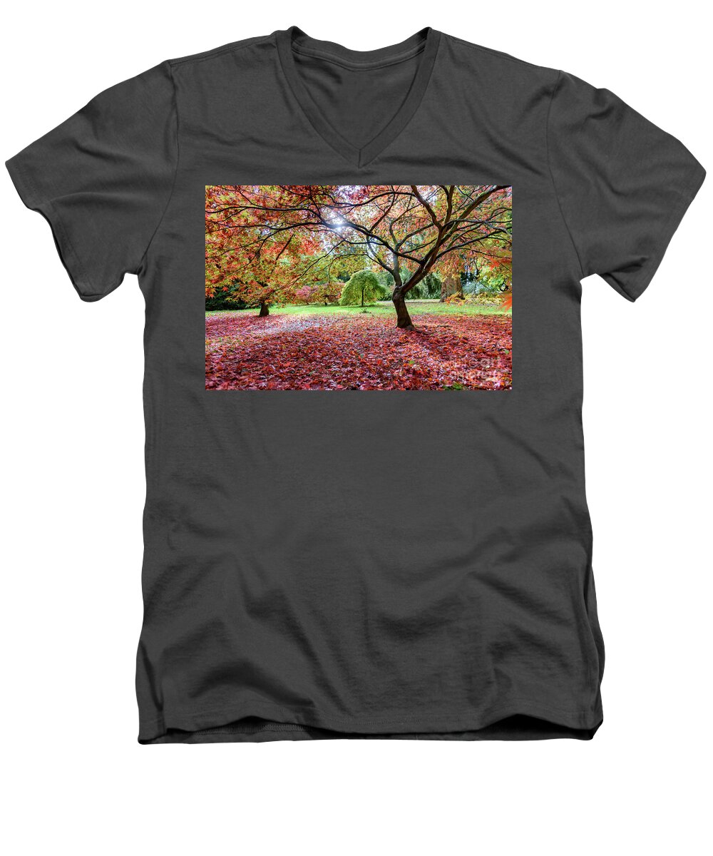 Autumn Men's V-Neck T-Shirt featuring the photograph Autumn at Westonbirt Arboretum by Colin Rayner