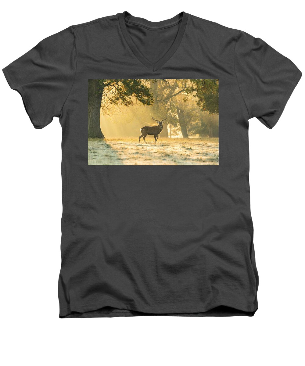Deer Men's V-Neck T-Shirt featuring the photograph Autumn Frost by Scott Carruthers