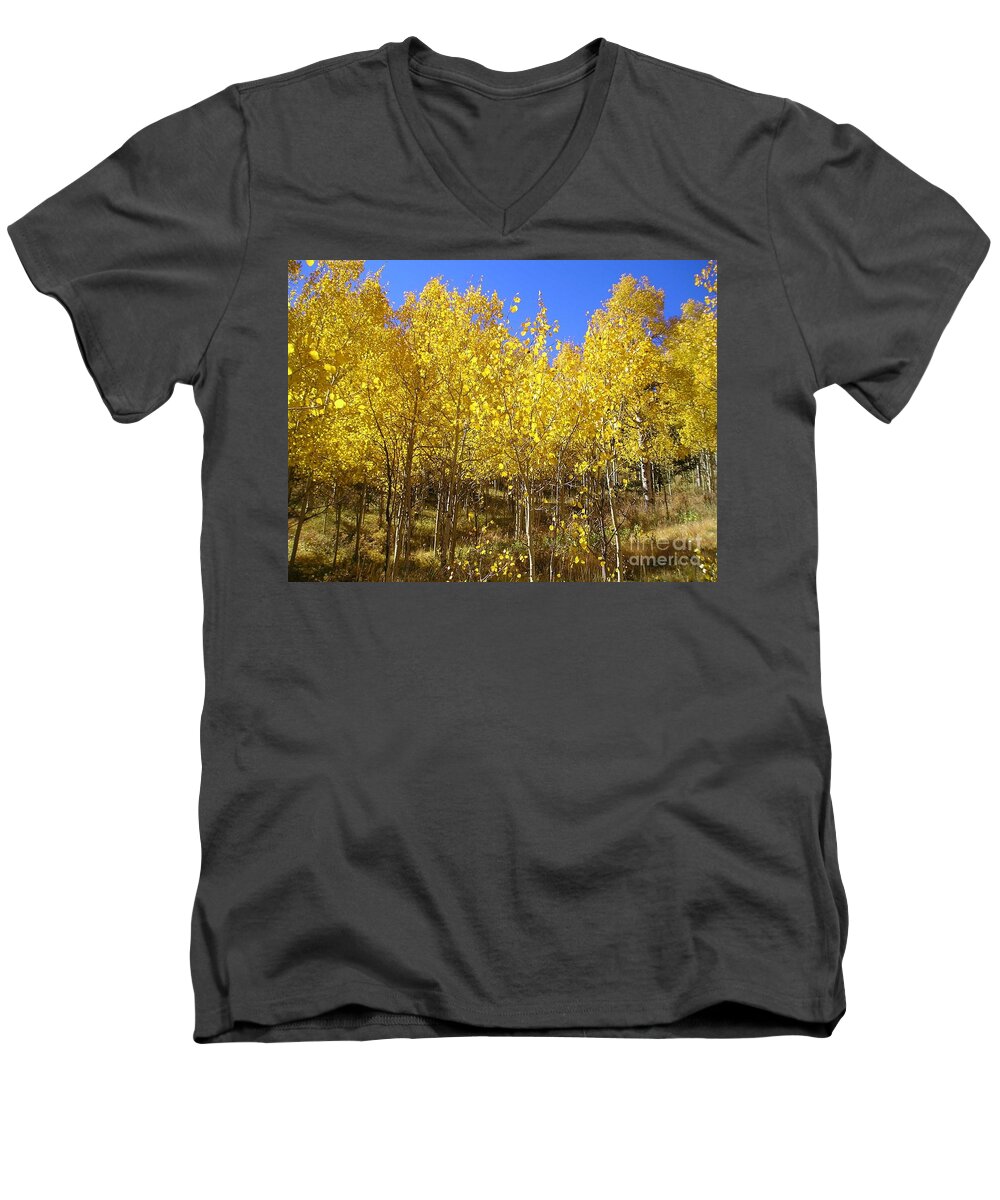 Fall Men's V-Neck T-Shirt featuring the photograph Autumn Gold by Ellen Heaverlo