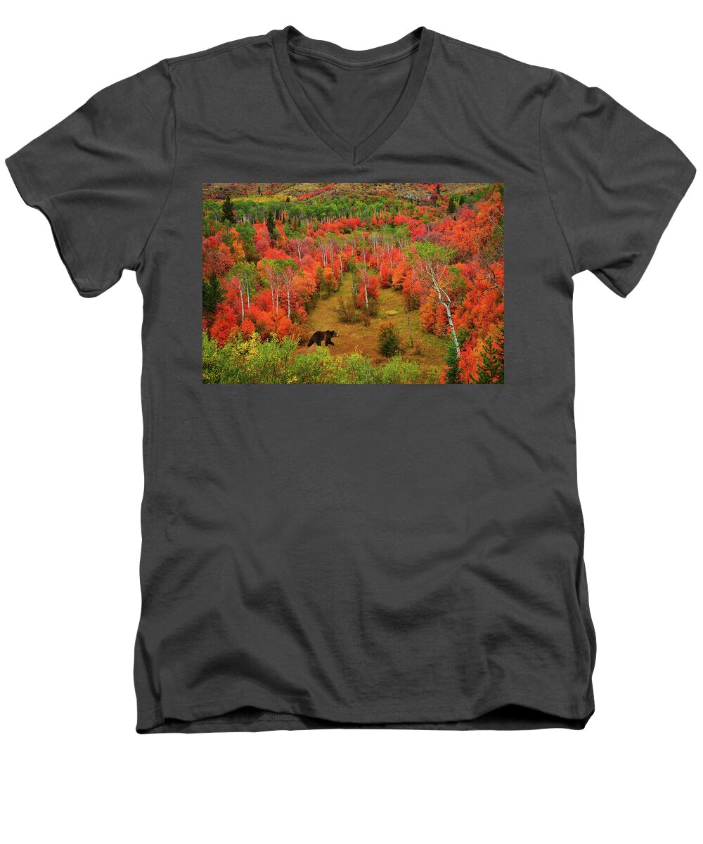 Autumn Men's V-Neck T-Shirt featuring the photograph Autumn Grizzly by Greg Norrell