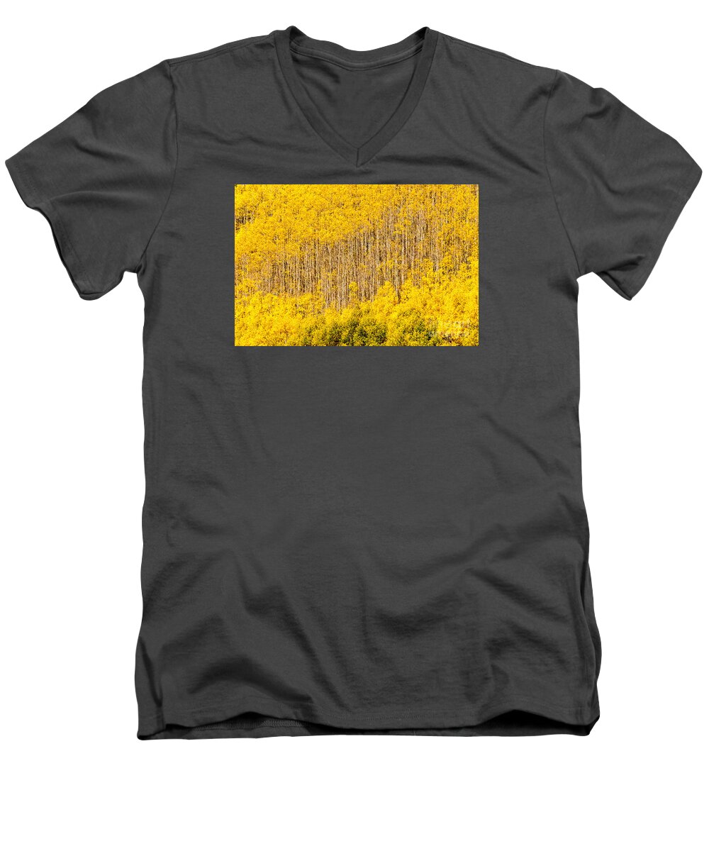 Afternoon Men's V-Neck T-Shirt featuring the photograph Autumn Harp by Greg Summers