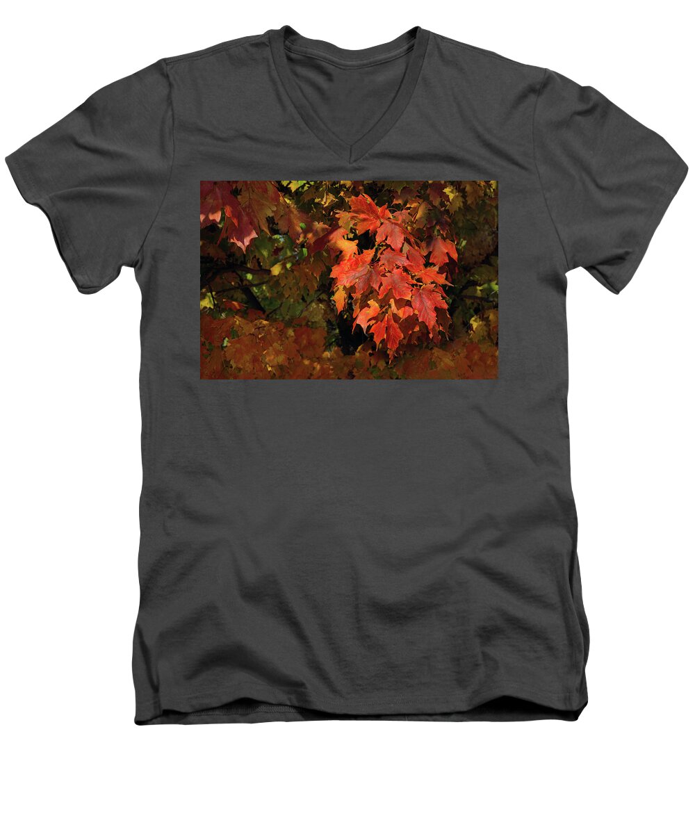 Autumn Leaves Men's V-Neck T-Shirt featuring the photograph Autumn Rush by Don Spenner