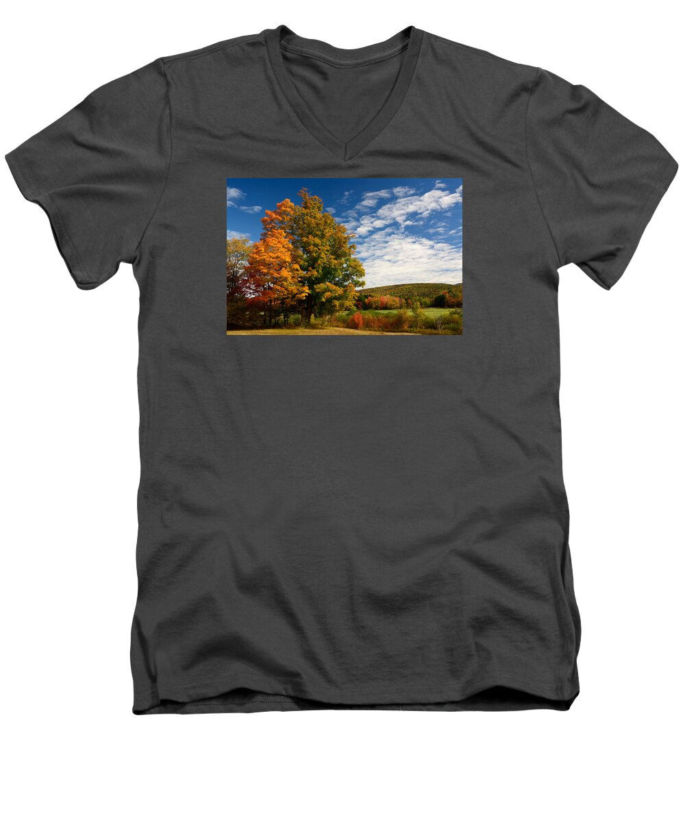 Autumn Men's V-Neck T-Shirt featuring the photograph Autumn Tree on the Windham Path by Nancy De Flon