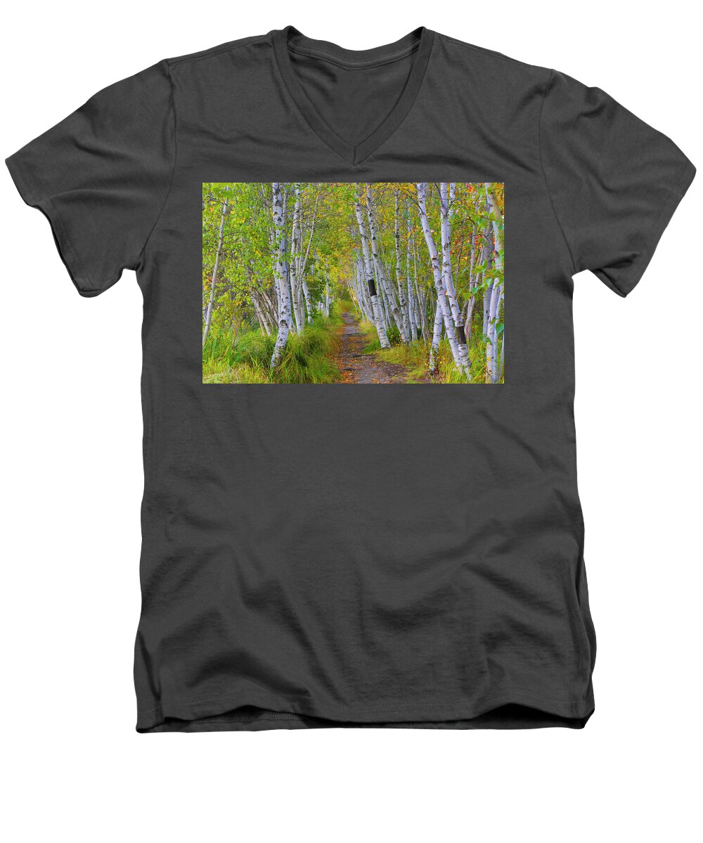 Birch Men's V-Neck T-Shirt featuring the photograph Avenue of Birches by Nancy Dunivin