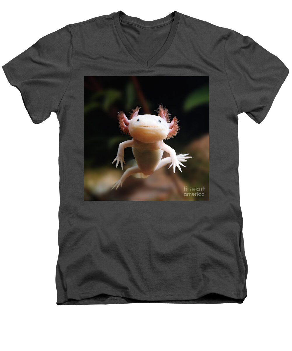 Albino Axolotl Men's V-Neck T-Shirt featuring the photograph Axolotl Face by Warren Photographic