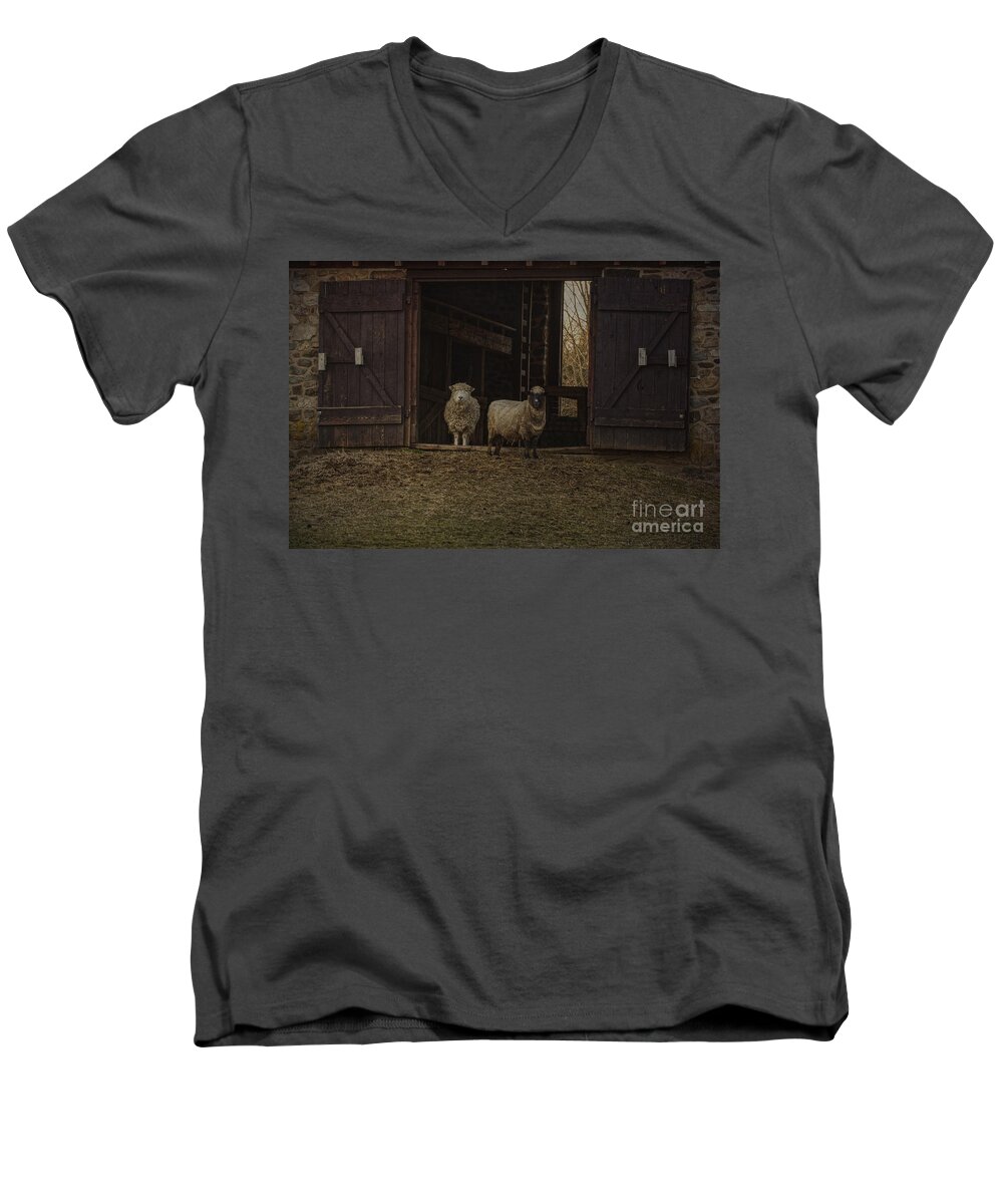 2 Animals Men's V-Neck T-Shirt featuring the photograph Ba Ram Ewe by Debra Fedchin