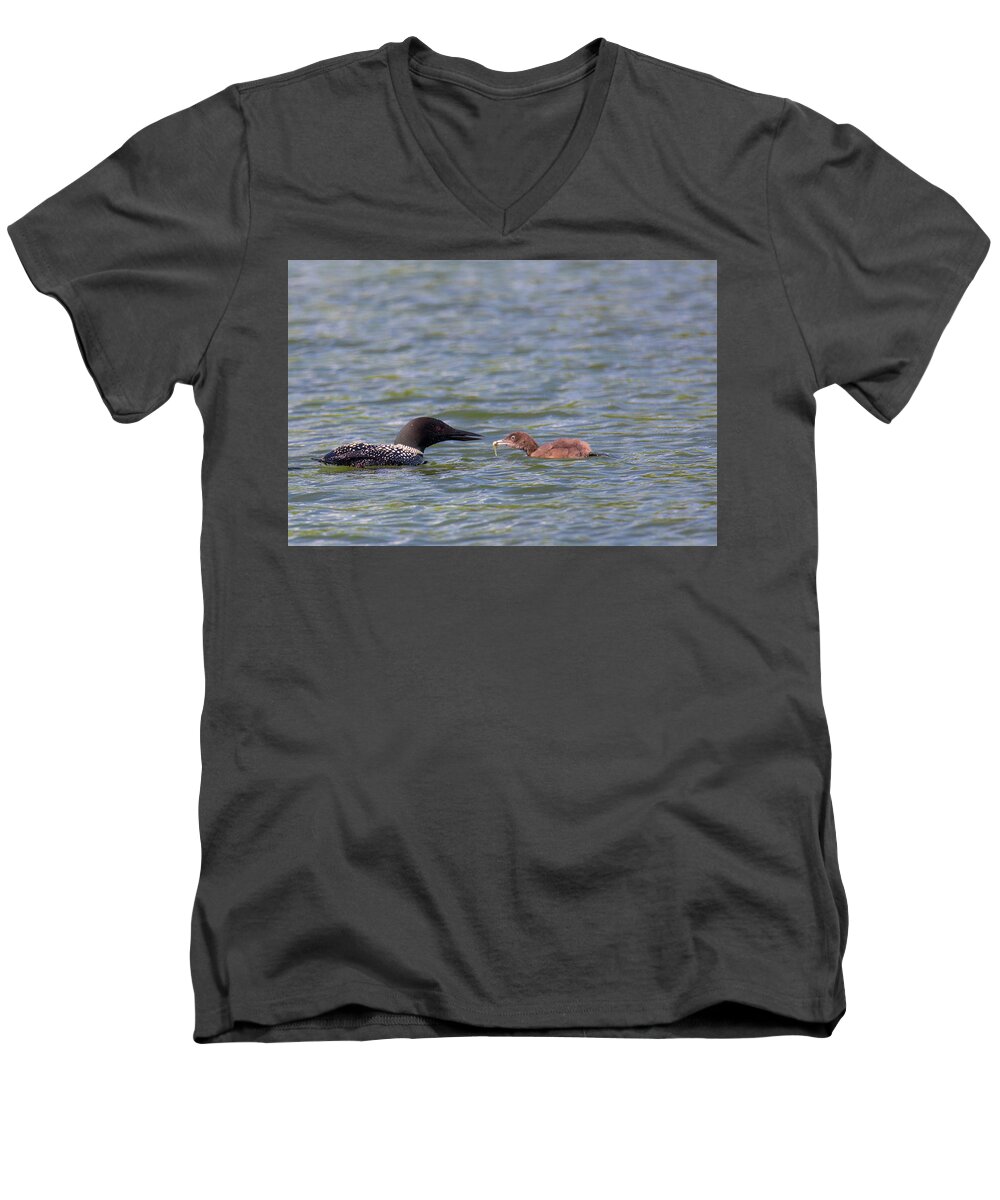 Baby Loon Men's V-Neck T-Shirt featuring the photograph Feeding Time by Nancy Dunivin