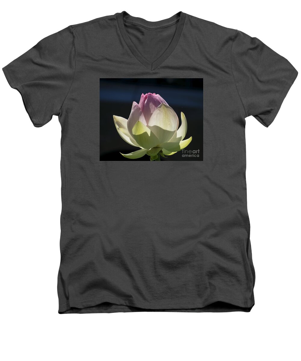 Flowers Men's V-Neck T-Shirt featuring the photograph Backlit Lotus Bud 2015 by Lili Feinstein
