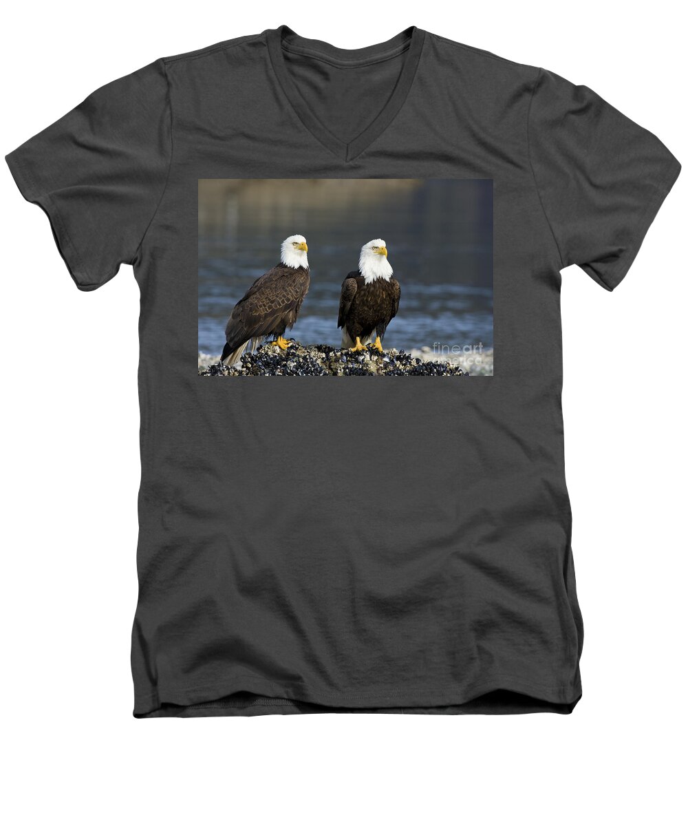 American Men's V-Neck T-Shirt featuring the photograph Bald Eagle Pair by John Hyde - Printscapes