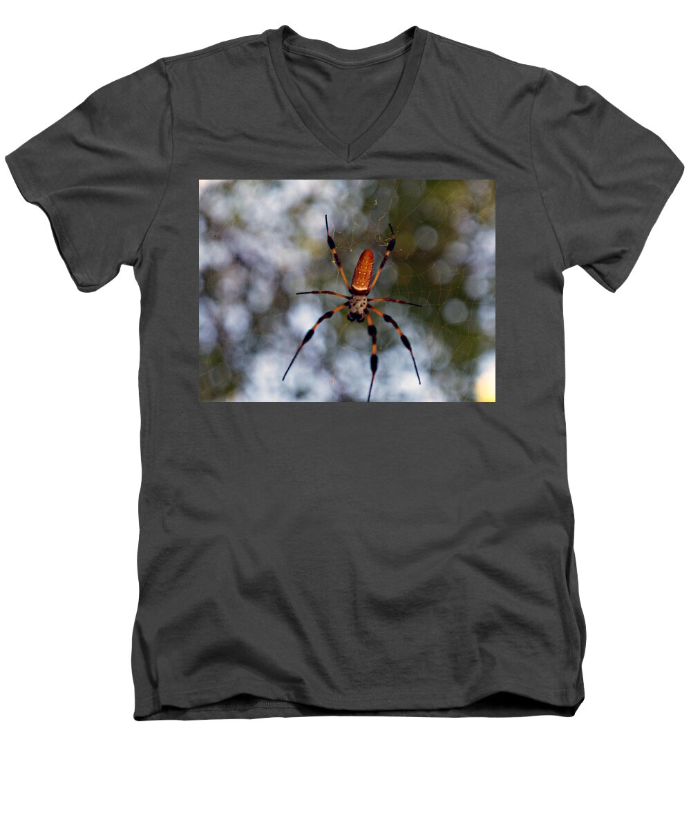 Arachnid Men's V-Neck T-Shirt featuring the photograph Banana Spider 2 by Bob Johnson