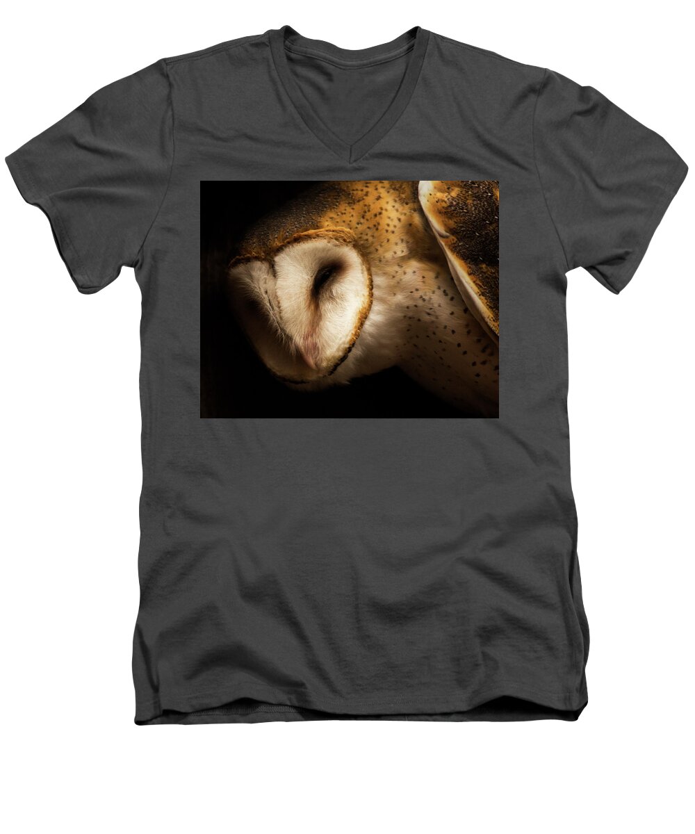 Owl Men's V-Neck T-Shirt featuring the photograph Barn Owl by Bob Cournoyer