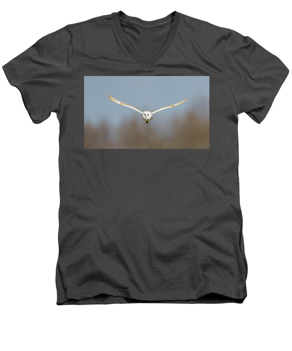 Barn Owl Men's V-Neck T-Shirt featuring the photograph Barn Owl Sculthorpe Moor by Pete Walkden