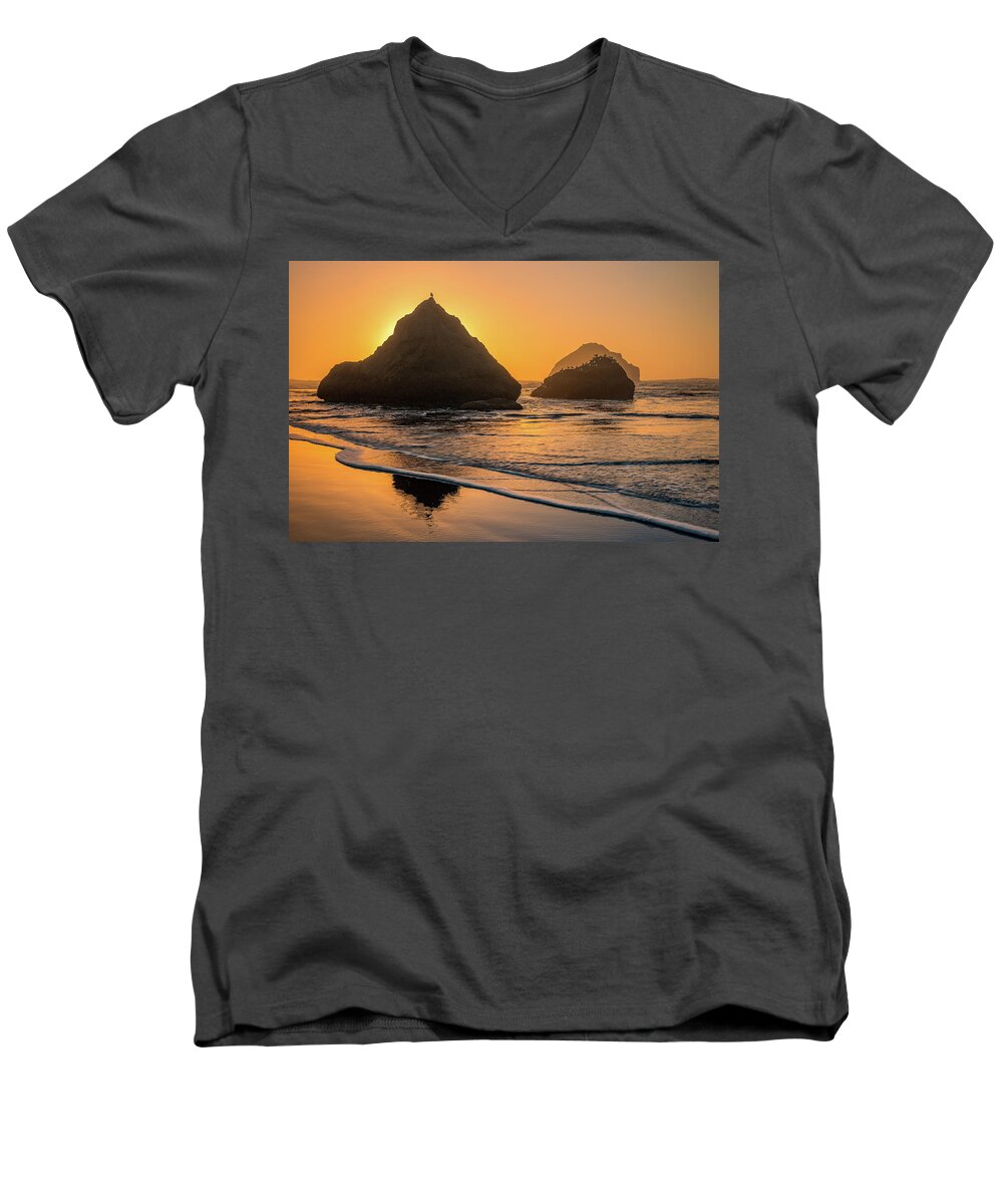 Beach Men's V-Neck T-Shirt featuring the photograph Be your own bird by Darren White