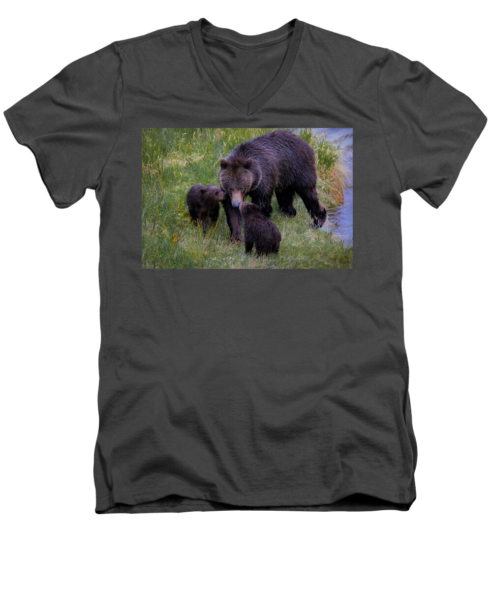 A Grizzly Bear And Her Cubs Were Definitely Not Afraid Of The Rain And Ventured Out For A Fun Morning Of Play And Affection. Men's V-Neck T-Shirt featuring the photograph Bearly Wet by Ryan Smith