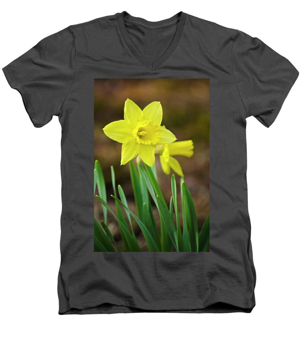 Daffodil Men's V-Neck T-Shirt featuring the photograph Beautiful Daffodil Flower by Christina Rollo