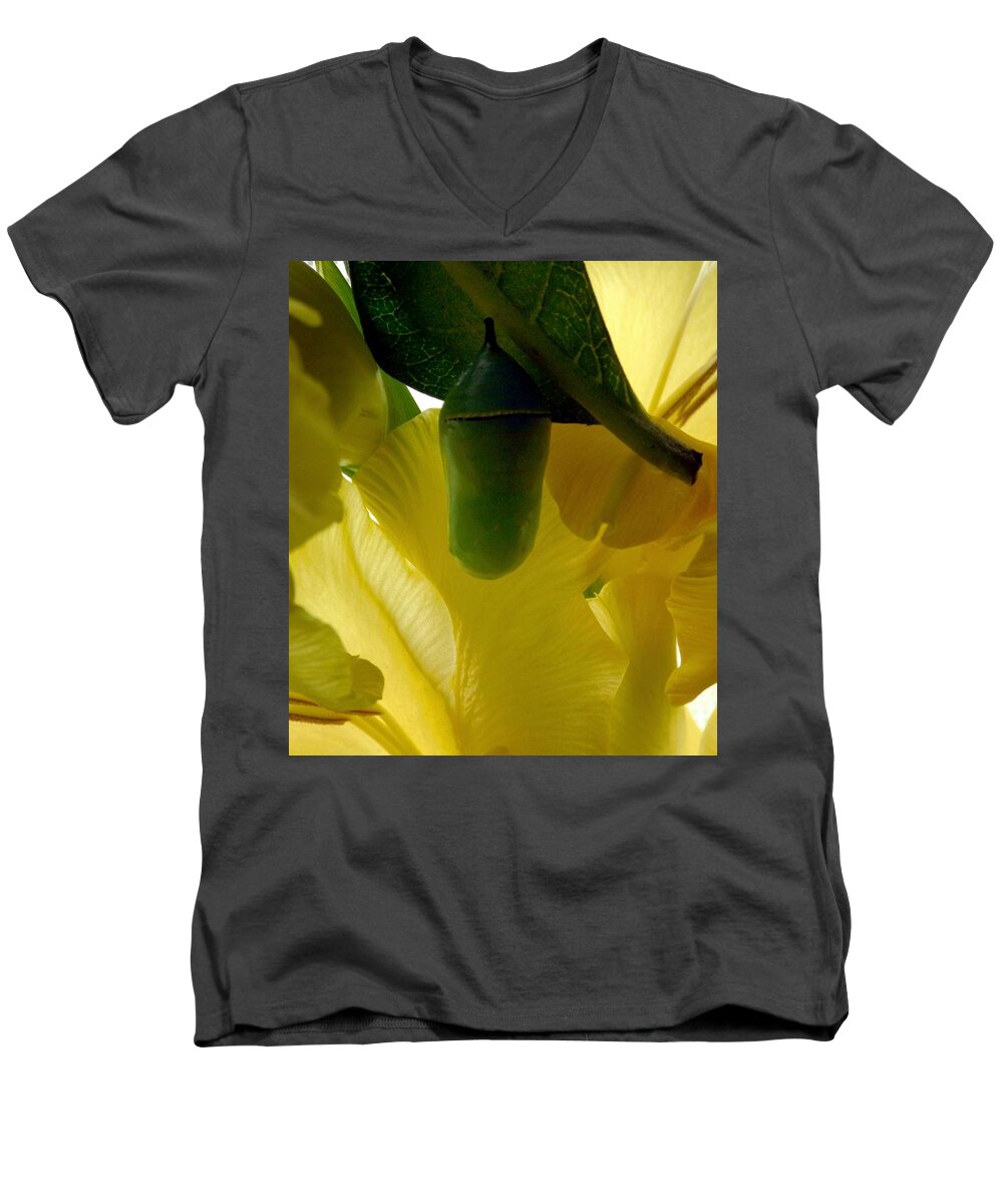 Monarch Men's V-Neck T-Shirt featuring the photograph Beauty Sleep by Danielle R T Haney