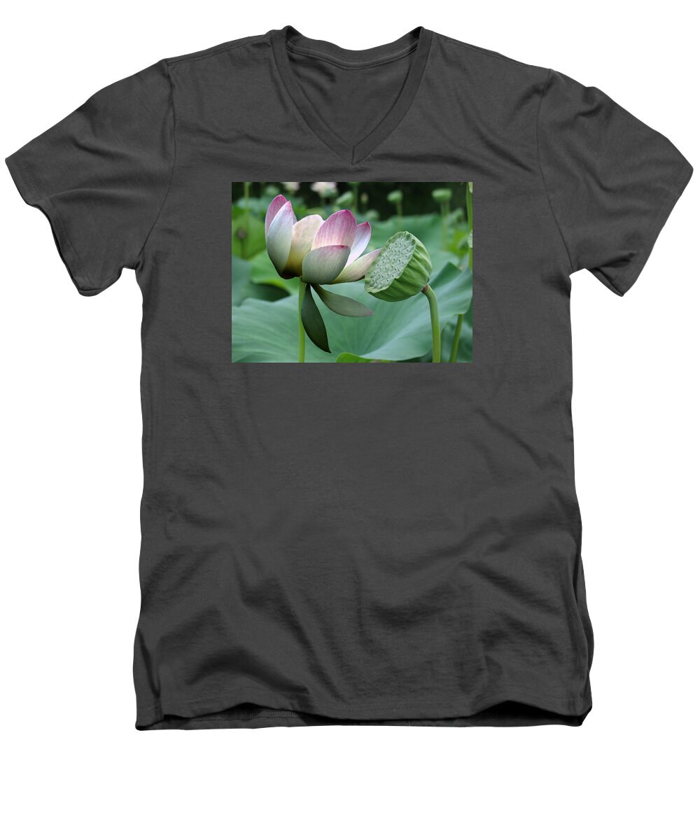 Lotus Men's V-Neck T-Shirt featuring the painting Before and After by Jamie Downs