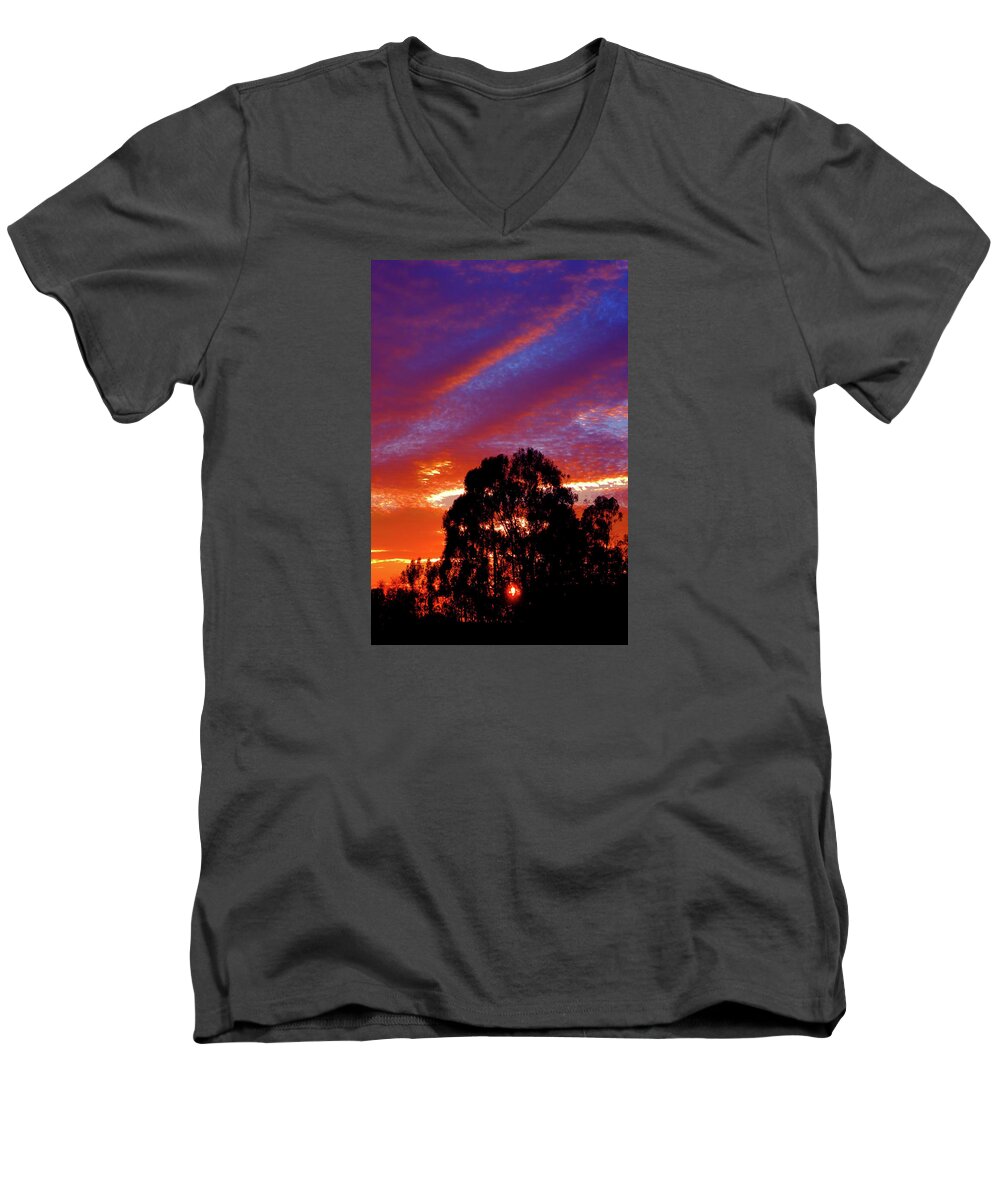 The Walkers Men's V-Neck T-Shirt featuring the photograph Being There by The Walkers
