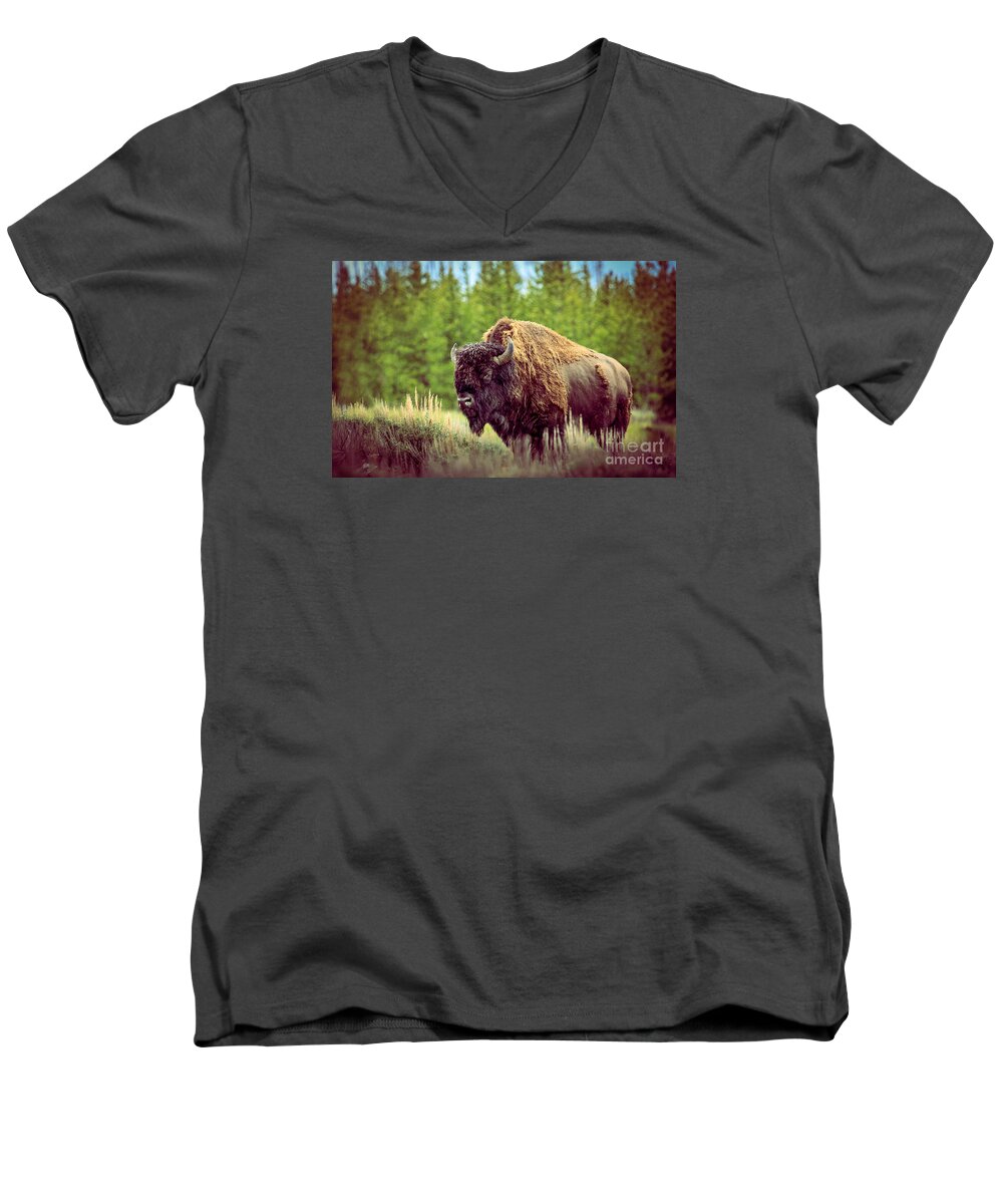 Mammal Men's V-Neck T-Shirt featuring the photograph Big Daddy by Robert Bales