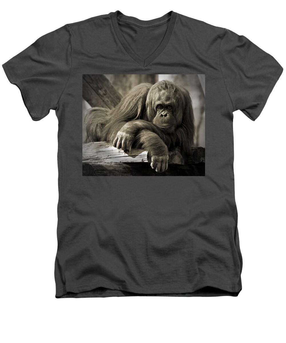 Orangutang Men's V-Neck T-Shirt featuring the photograph Big Hands II by Steven Sparks