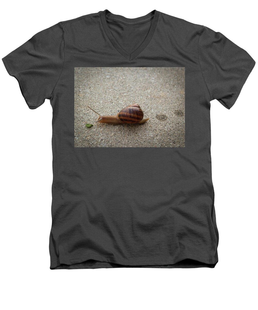 Snail Men's V-Neck T-Shirt featuring the photograph Big Salad by Alison Frank