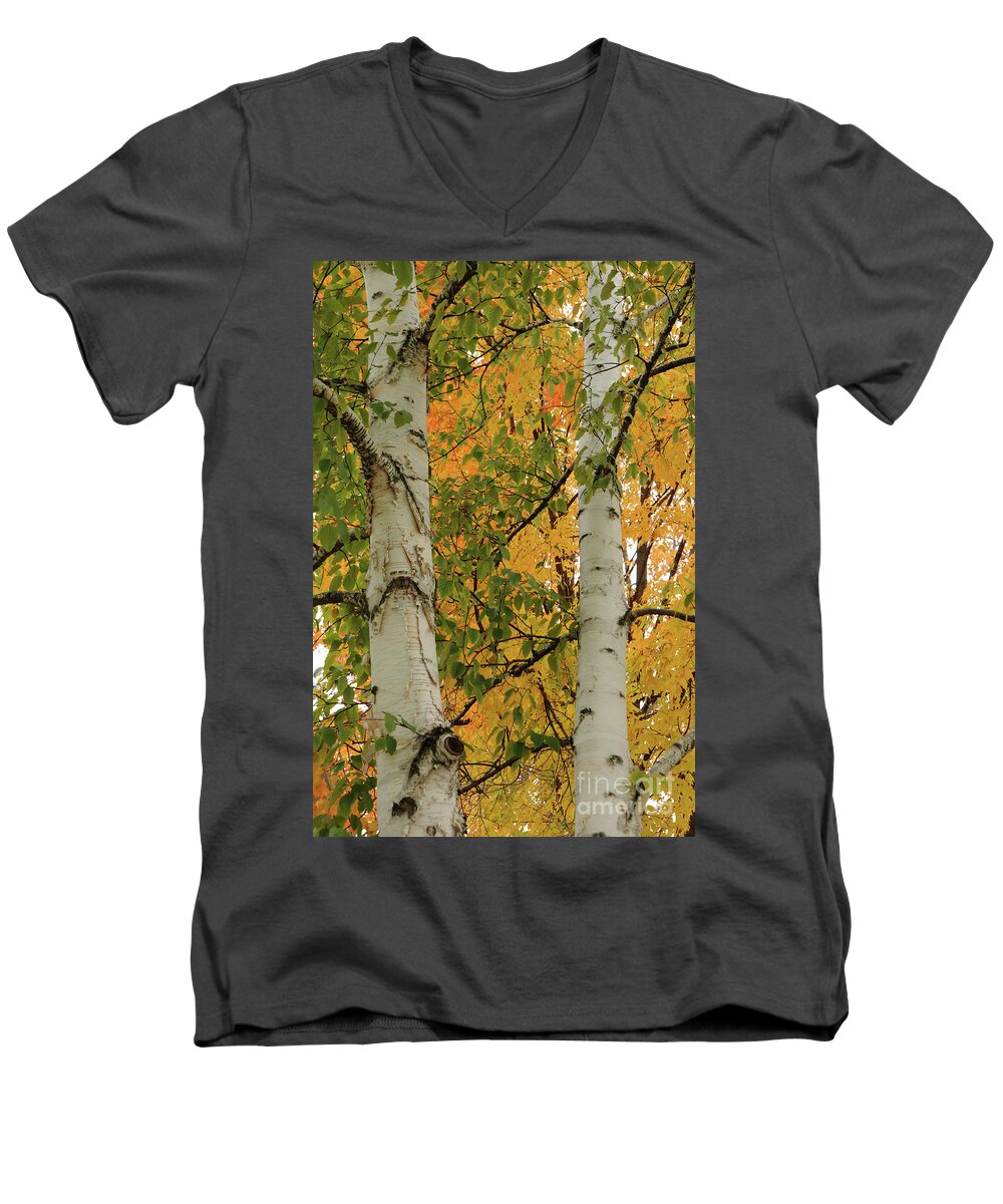 Tree Men's V-Neck T-Shirt featuring the photograph Birch Tree by Ronald Grogan